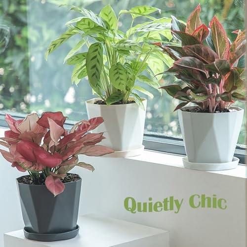 BovcTrraann 4Pack Plant Pot 5 Inch Plastic Flower Pots with Drainage Hole and Saucer Plastic Planters for Indoor Outdoor Garden Plants Flowers and Succulents White - Image 3