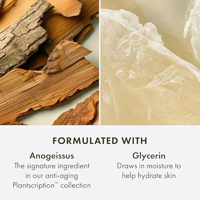 Origins Plantscription Anti-Aging Cleanser | Face Wash For All Skin Types | With Glycerin & Anogeissus, 5 Fl Oz - Image 5
