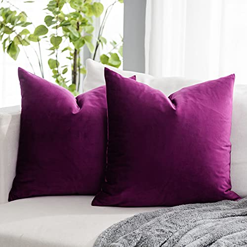 QUAFOO Purple Couch Velvet Throw Pillow Covers 22x22 inch Set of 2 with Zipper Decorative Luxury Soft Solid Rectangle Cushion Covers Case for Sofa Bed Living Room Car - Image 1