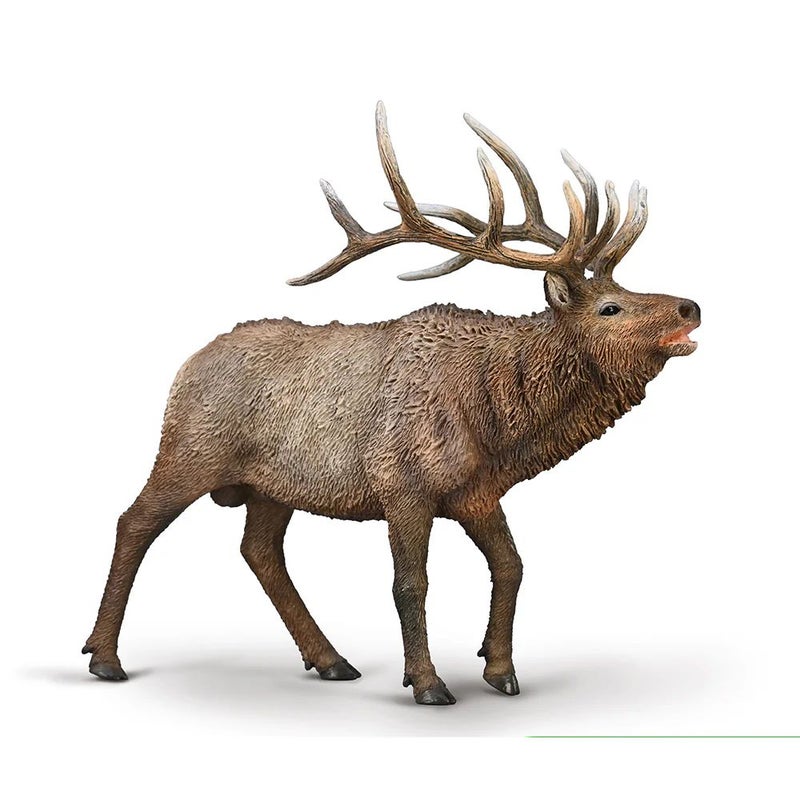 Collecta - Wapiti Deer - 80021