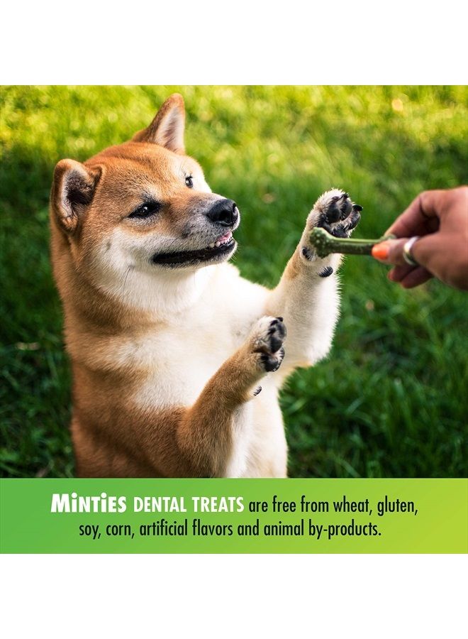 MiNTiES VetIQ Dog Dental Bone Treats, Dental Chews for Tiny/Small Dogs (Under 40 lbs), 40 Count - Image 4
