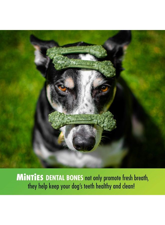 MiNTiES VetIQ Dog Dental Bone Treats, Dental Chews for Tiny/Small Dogs (Under 40 lbs), 40 Count - Image 2