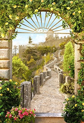 Leyiyi 3x5ft Photography Background Vintage Medieval Castle Wedding Backdrop Stone Architecture Spring Garden Roses Birthday Party European Travel Flora Wood Photo Portrait Vinyl Studio Video Prop - Image 5