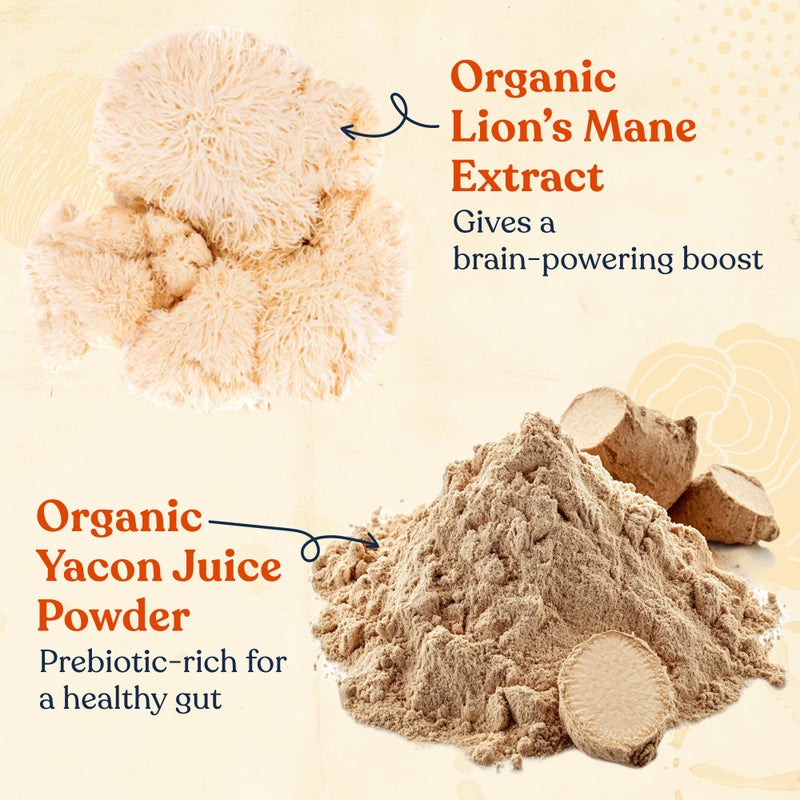 Four Sigmatic Organic Cold Brew Coffee Grounds | Dark Roast, Coarse Grounds with Lion's Mane and Chaga | Cold Brew Mushroom Coffee for Crash-Free Focus | 12 oz Bag - Image 2