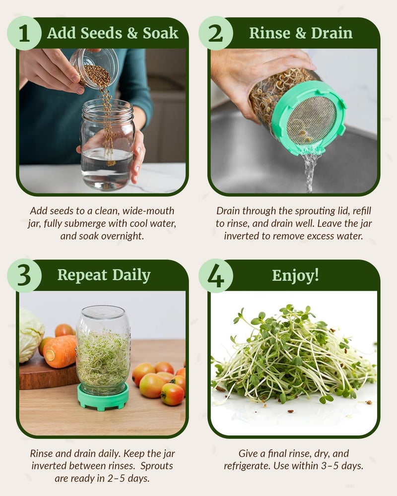 Elementi Sprouting Lids for Wide Mouth Mason Jars (Set of 2), Sprouting Jar Kit for Organic Sprouts, Alfalfa & Mung Bean Sprouts Grow Kit, 316 Stainless Steel Mesh Screen Strainer Lid (Mint) - Image 4