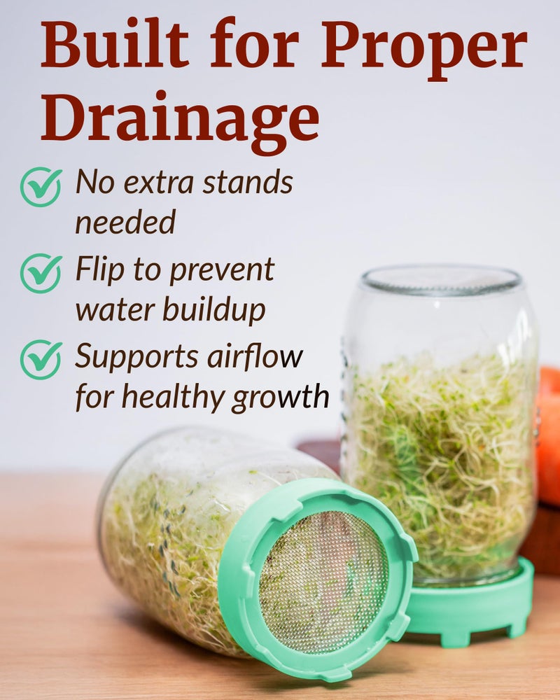 Elementi Sprouting Lids for Wide Mouth Mason Jars (Set of 2), Sprouting Jar Kit for Organic Sprouts, Alfalfa & Mung Bean Sprouts Grow Kit, 316 Stainless Steel Mesh Screen Strainer Lid (Mint) - Image 2