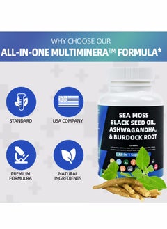 BIYODE Sea Moss 350mg Black Seed Oil 300mg Ashwagandha 200mg Turmeric 100mg Bladderwrack 100mg Burdock 100mg & Vitamin C & D3 with Elderberry Manuka Dandelion Yellow Dock Iodine Chlorophyll ACV  - Image 2