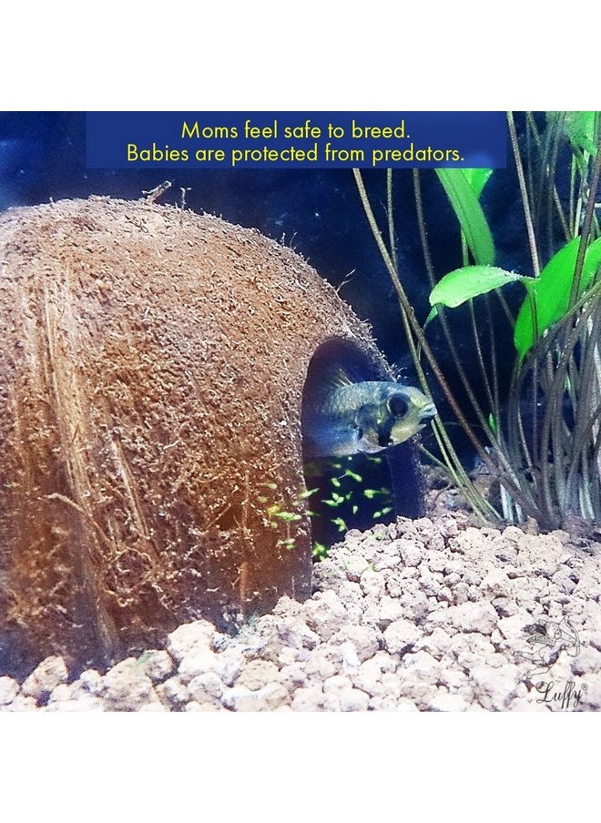 SunGrow - SunGrow Coconut Hut for Crested Gecko, 5x3 Inches Reptile Climbing Hide, Leopard Gecko Tank Cage Habitat Accessories, Smooth-Edged Coconut Shell, for Exercise, Crawling, Perching and Basking Spot - Image 1