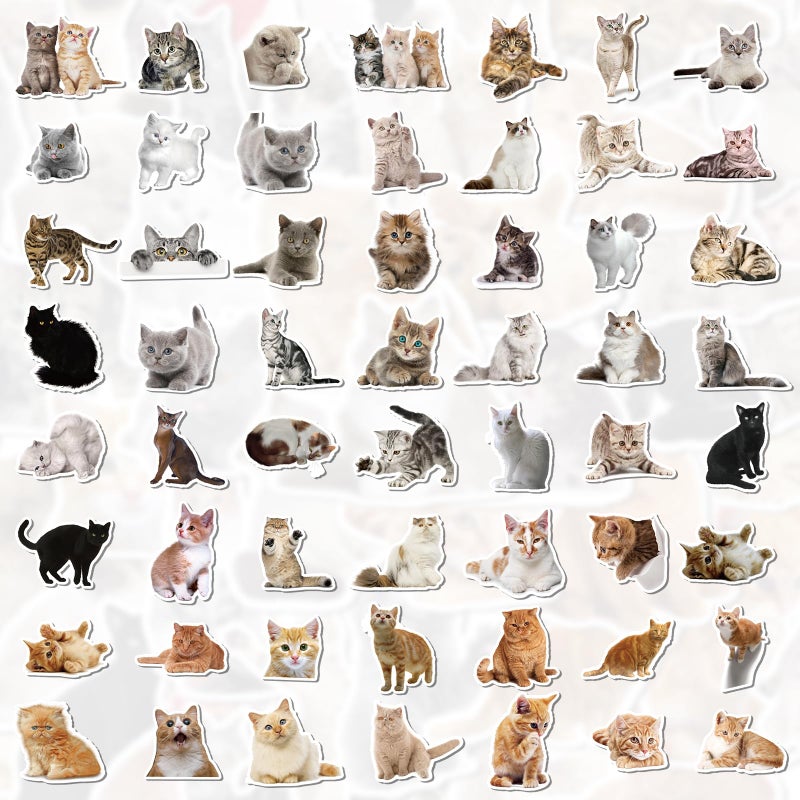 Fuzmo 100 Pcs Cat Stickers, Cute Meme Kitten Stickers for Water Bottles Laptop Guitar Suitcase, DIY Waterproof Vinyl Decals Gifts for Adults Teens Kids Boys Girls - Image 4