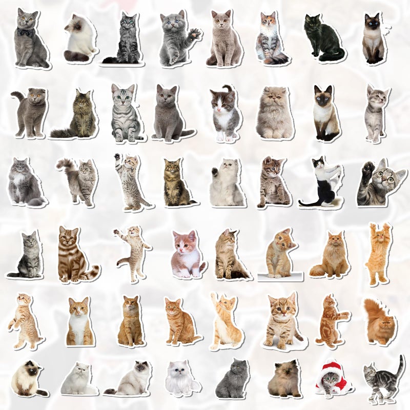 Fuzmo 100 Pcs Cat Stickers, Cute Meme Kitten Stickers for Water Bottles Laptop Guitar Suitcase, DIY Waterproof Vinyl Decals Gifts for Adults Teens Kids Boys Girls - Image 3