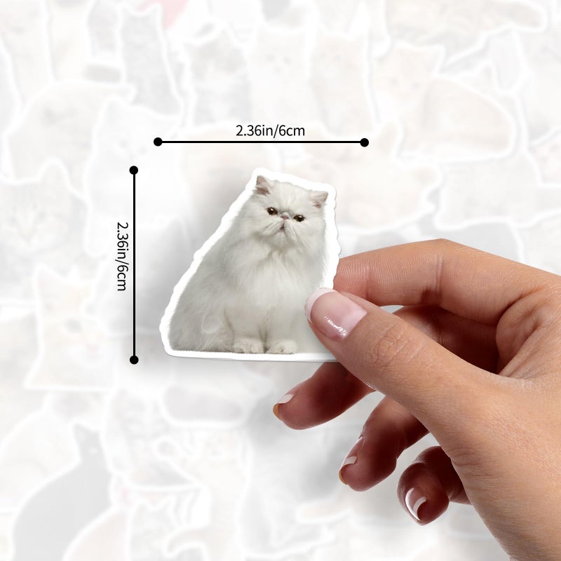 Fuzmo 100 Pcs Cat Stickers, Cute Meme Kitten Stickers for Water Bottles Laptop Guitar Suitcase, DIY Waterproof Vinyl Decals Gifts for Adults Teens Kids Boys Girls - Image 5