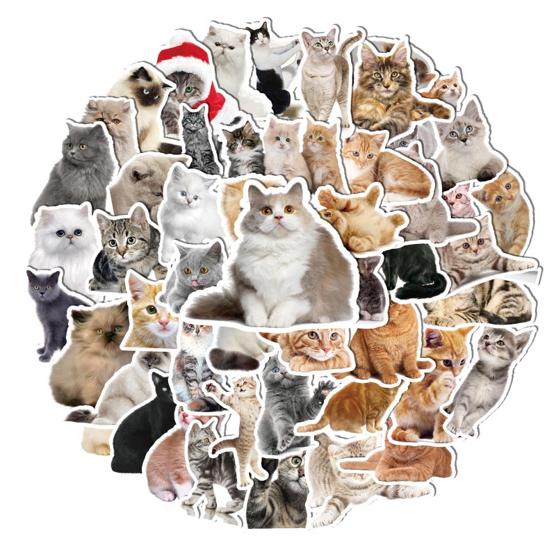 Fuzmo 100 Pcs Cat Stickers, Cute Meme Kitten Stickers for Water Bottles Laptop Guitar Suitcase, DIY Waterproof Vinyl Decals Gifts for Adults Teens Kids Boys Girls - Image 1