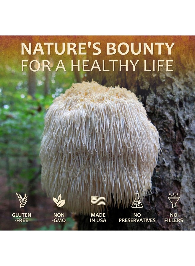 Lion’S Mane Mushroom Supplement Premium Mushroom Powder Capsules For Memory And Nerve Support Nongluten And Nongmo Focus Supplement 500Mg Lion’S Mane 100 Capsules