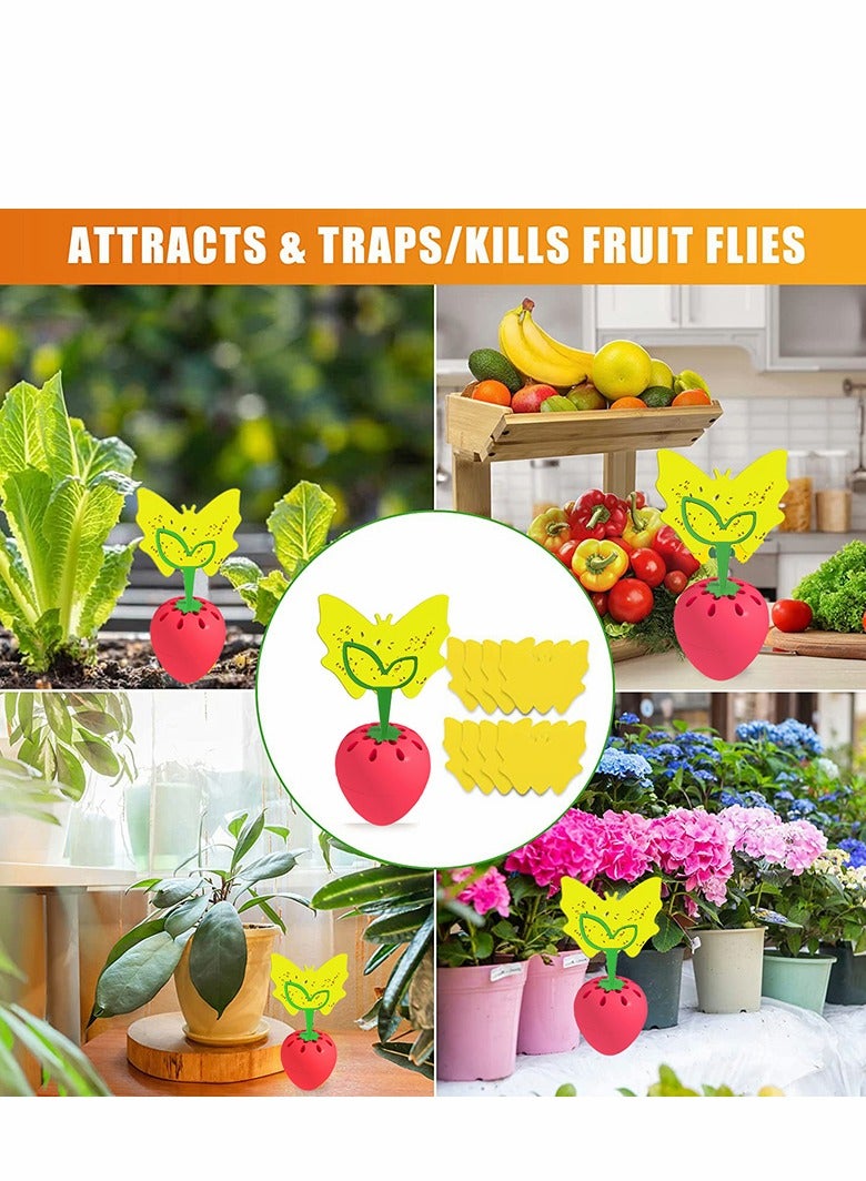 SYOSI Fruit Fly Trap, Fly Catcher Gnat Trap Fruit Fly Killer with 16 Yellow Sticky Traps 2 Trapping agent, Gnat Trap with Bait for Indoor Outdoor, Safe Non-Toxic Fly Trap for Home/Kitchen/Plant (2 Pack) - Image 3