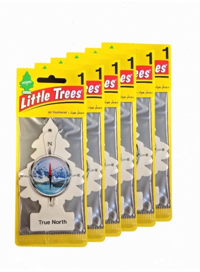Little Trees True North Car Air Freshener 6 Pcs Pack I Long Lasting Hanging Tree Fragrance for Car, Home & Office - Image 2