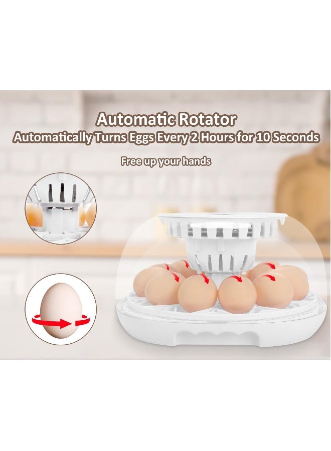 Generic 12 Egg Incubator, Smart Egg Incubator with Automatic Egg Turning, Automatic Humidity Refill and Automatic Temperature Control, Incubator with Temperature Display for Chicken/Duck/Quail/Goose  - Image 2