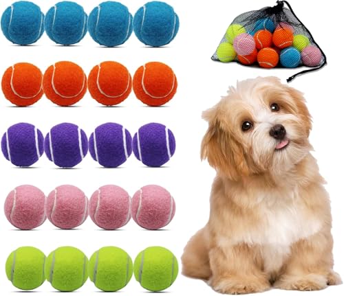 Magicorange Small Tennis Balls 20 Pack 2 inch Tennis Balls for Dogs Colorful Easy Catching Pet Dog Playing Ball with Mesh Bag for Easy TransportMulticolor 2 inch - Image 1