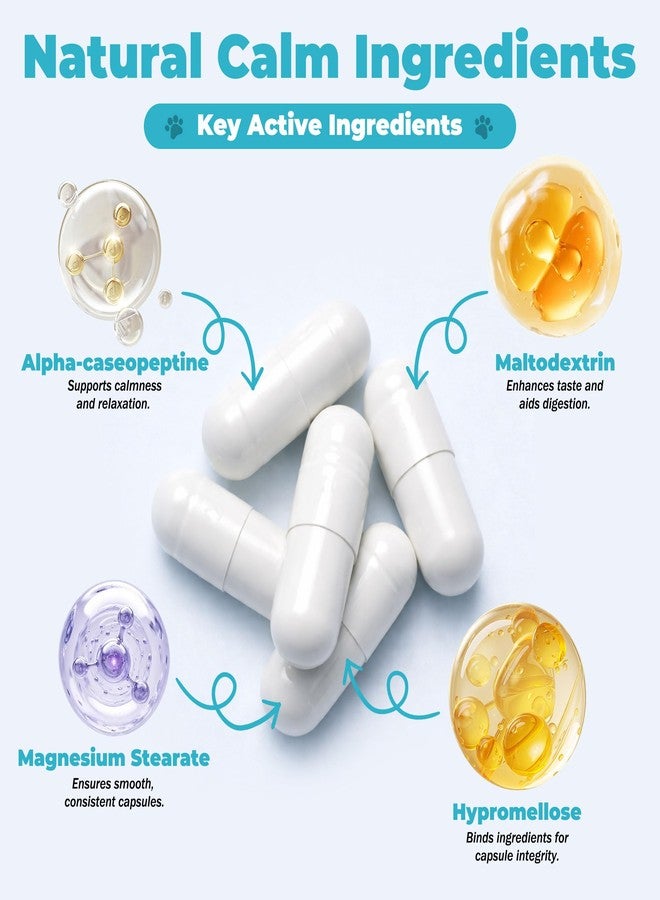 VivaElixir Dog Calming Capsule Calming Support Supplement for Small Dogs and Cats, Helps Promote Relaxation and Reduce External Stress Factors, Daily Behavioral Support and Anxiety Relief for Dogs and Cats, 75mg - Image 3