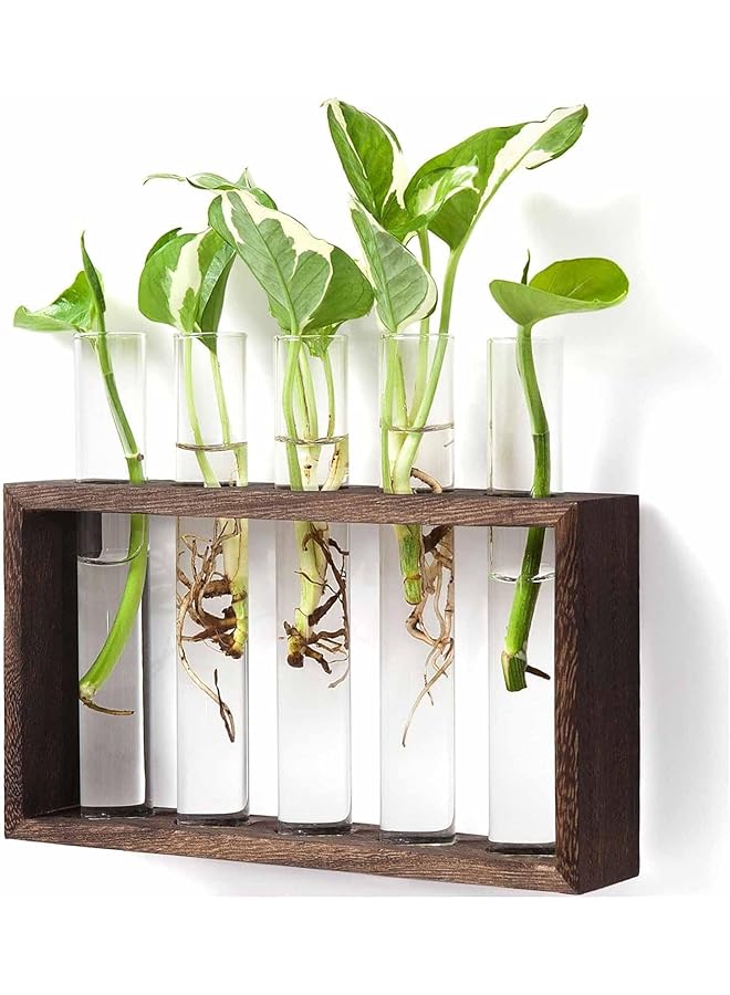 The Bros Wall-mounted Glass Planter Plant Nurture Pot, Modern Bud Vase, Wooden Stand, Desktop Nurture Pot, For Propagating Hydroponic Plants, Home Office Decoration - Image 1