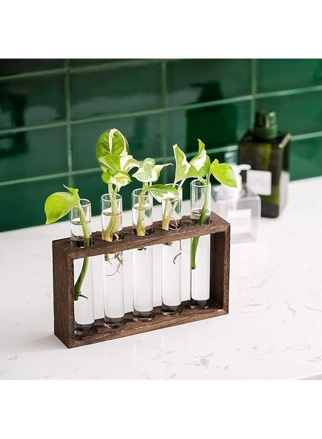The Bros Wall-mounted Glass Planter Plant Nurture Pot, Modern Bud Vase, Wooden Stand, Desktop Nurture Pot, For Propagating Hydroponic Plants, Home Office Decoration - Image 5