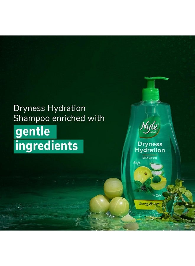 Nyle شامبو ترطيب طبيعي للشعر الجاف والخالي من التجعد مع عشبة تولسي وأملا والصبار، شامبو خفيف وناعم للرجال والنساء، 800 مل - Image 5