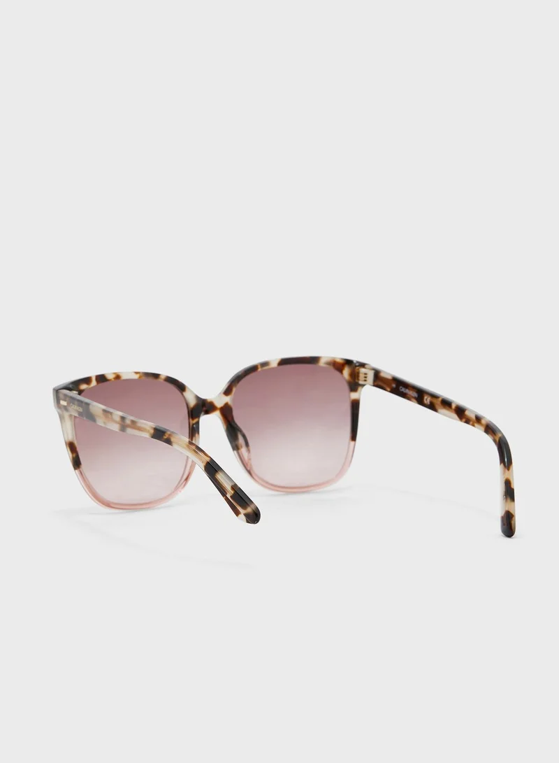 CALVIN KLEIN Tortoiseshell Frame Sunglasses