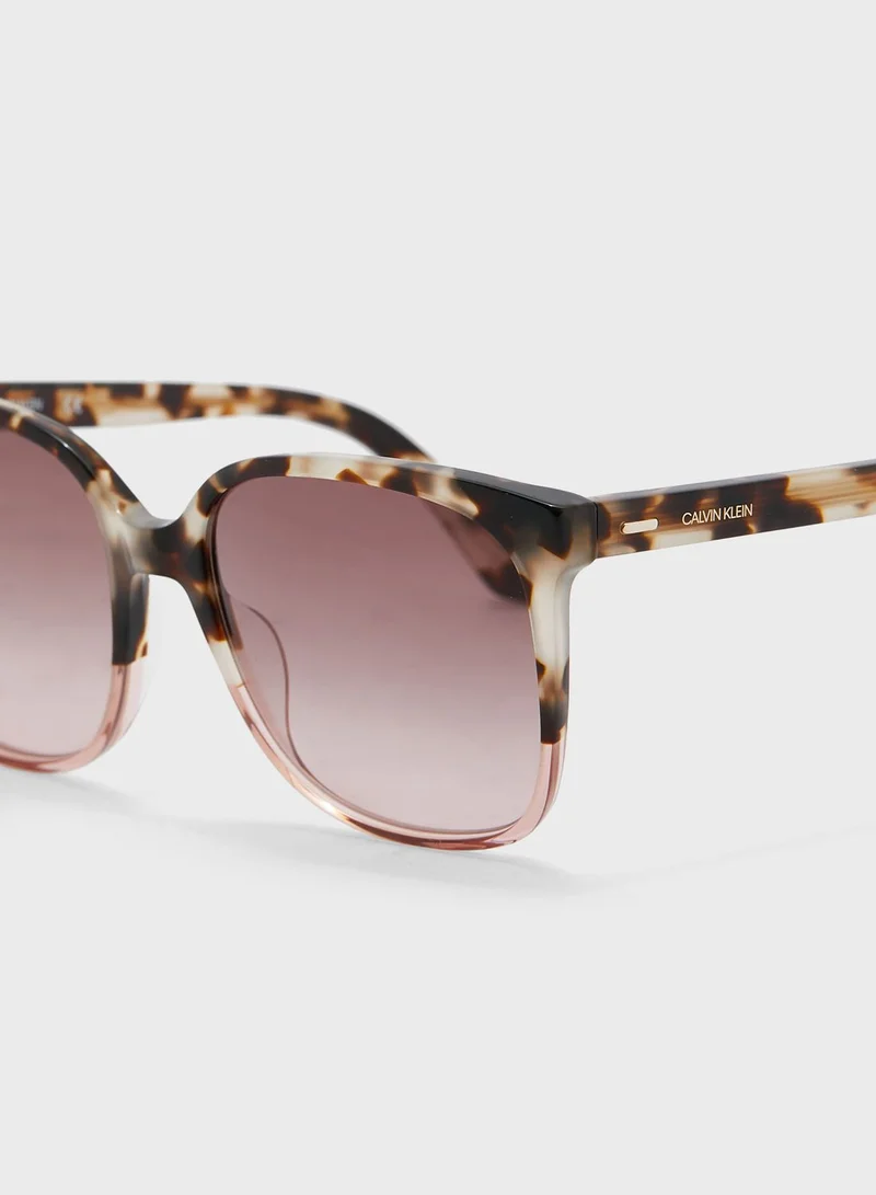 CALVIN KLEIN Tortoiseshell Frame Sunglasses