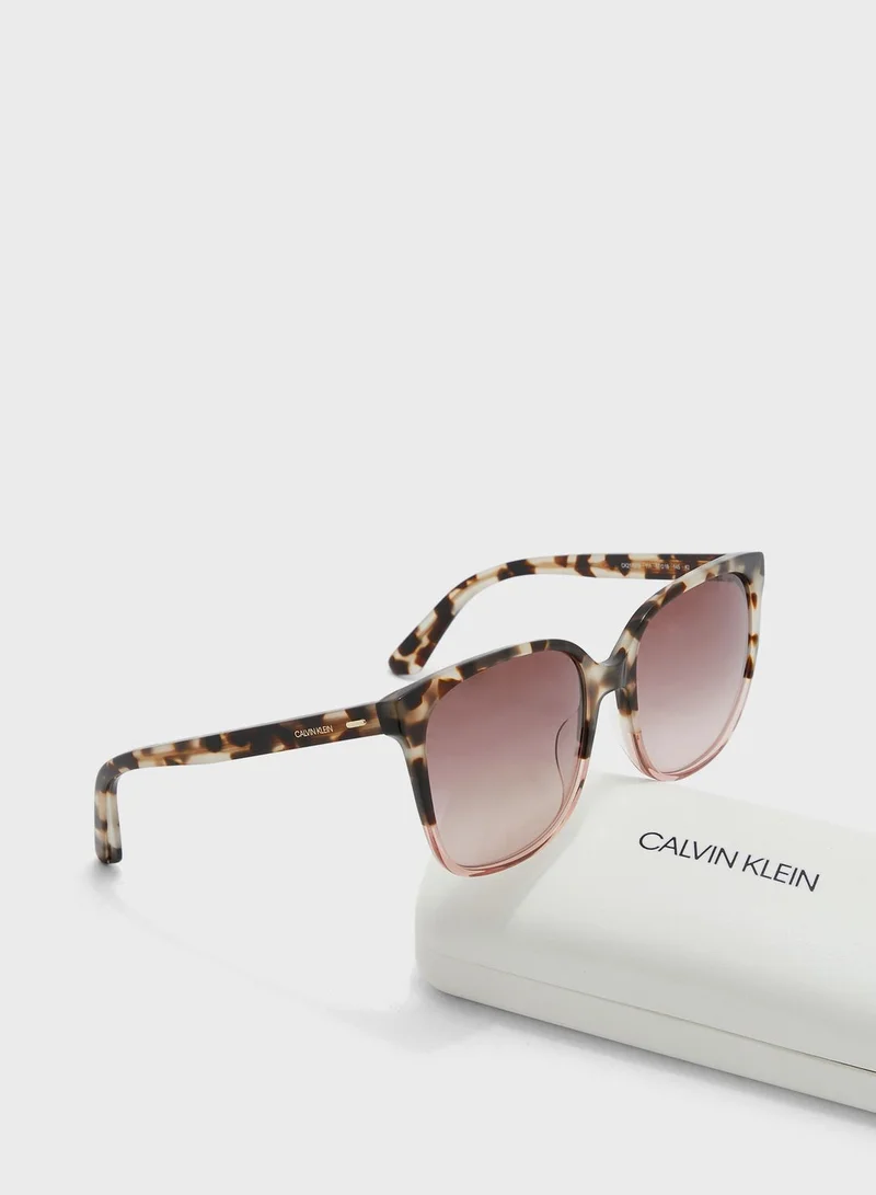 CALVIN KLEIN Tortoiseshell Frame Sunglasses