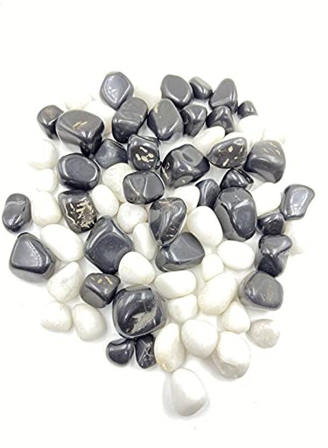 Bum Bum Bhole 1kg Medium Polished White & Black Mix Pebbles for Garden & Home D?cor Planters, Aquarium Decoration, Fountain, Landscaping, Plants, Vase Decoration (15 to 35 MM) - Image 1