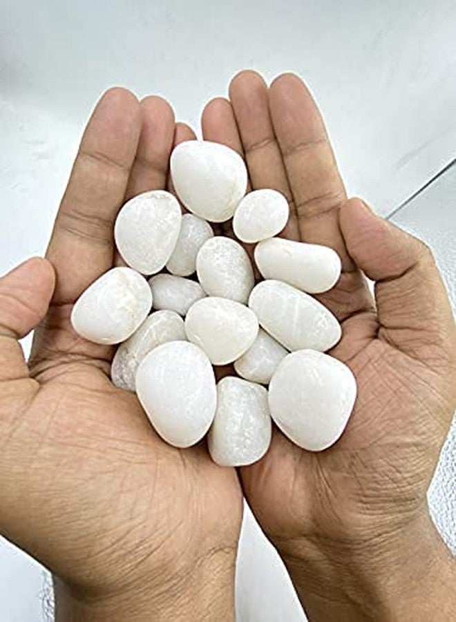Bum Bum Bhole 1kg Medium Polished White & Black Mix Pebbles for Garden & Home D?cor Planters, Aquarium Decoration, Fountain, Landscaping, Plants, Vase Decoration (15 to 35 MM) - Image 3