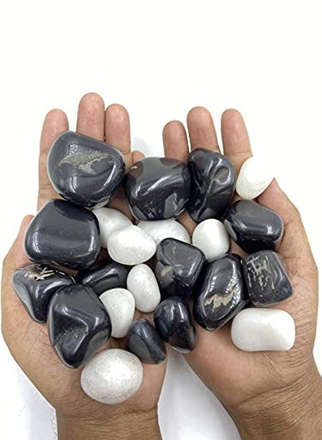 Bum Bum Bhole 1kg Medium Polished White & Black Mix Pebbles for Garden & Home D?cor Planters, Aquarium Decoration, Fountain, Landscaping, Plants, Vase Decoration (15 to 35 MM) - Image 2