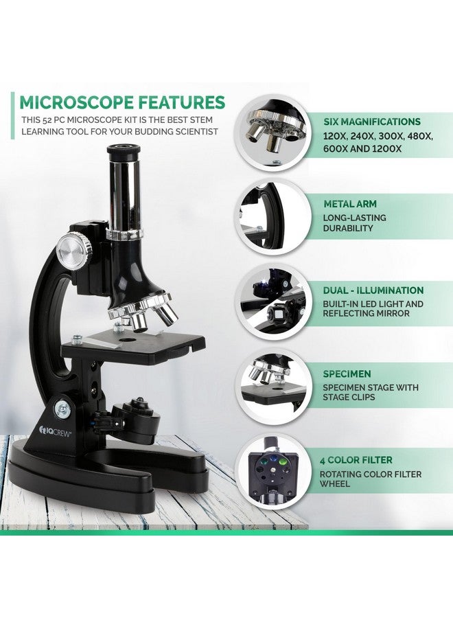 AmScope M30 Series 52-Piece STEM Microscope Kit for Kids - Monocular, Portable Compound Microscope for Kids - Includes Petri Dish, Slides & More - Black - Image 4