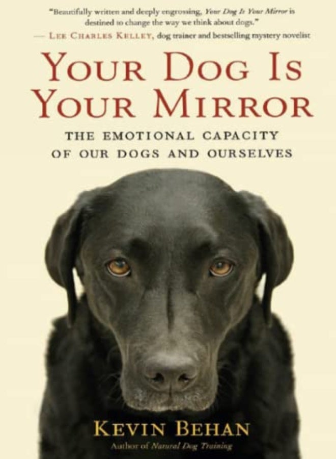 YOUR DOG IS YOUR MIRROR