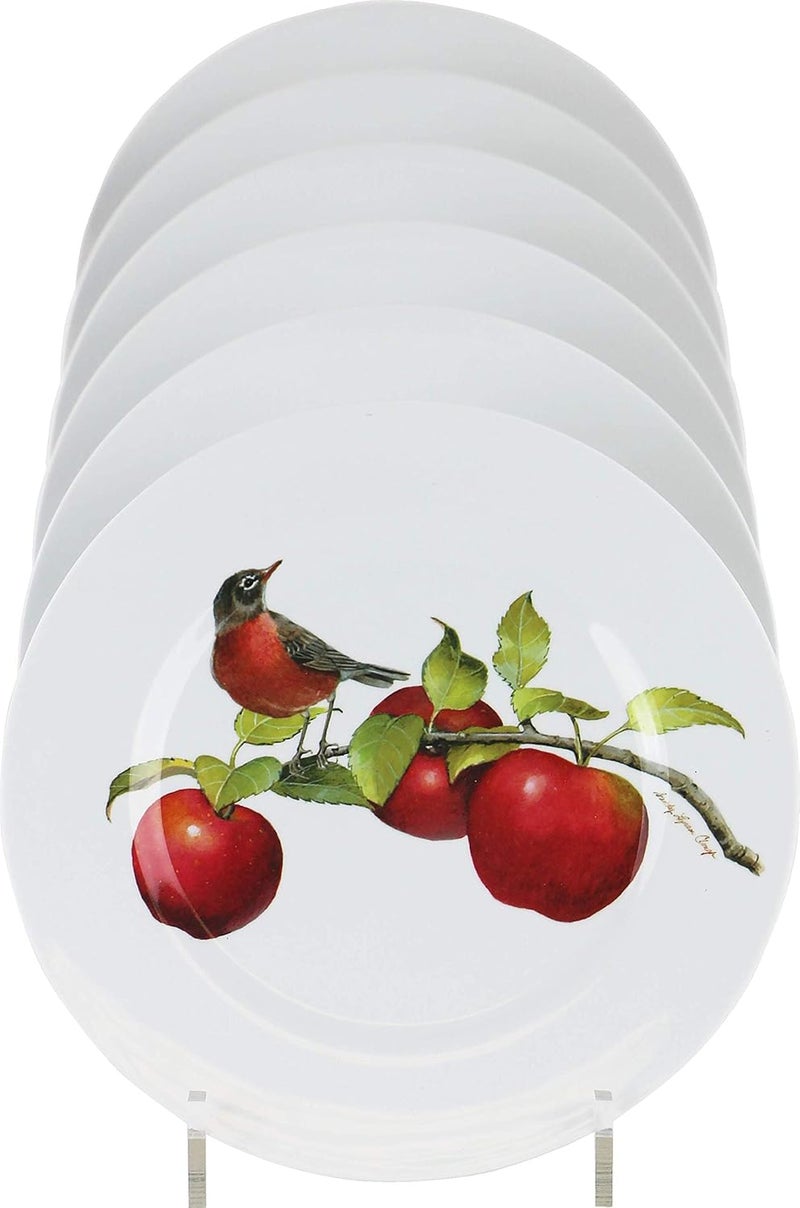 Reston Lloyd Calypso Basics Melamine Salad Plates Set of 6 85 Inch BPAFree NonToxic BreakResistant Dishwasher Safe Plates for Indoor  Outdoor Use Harvest Apples - Image 2