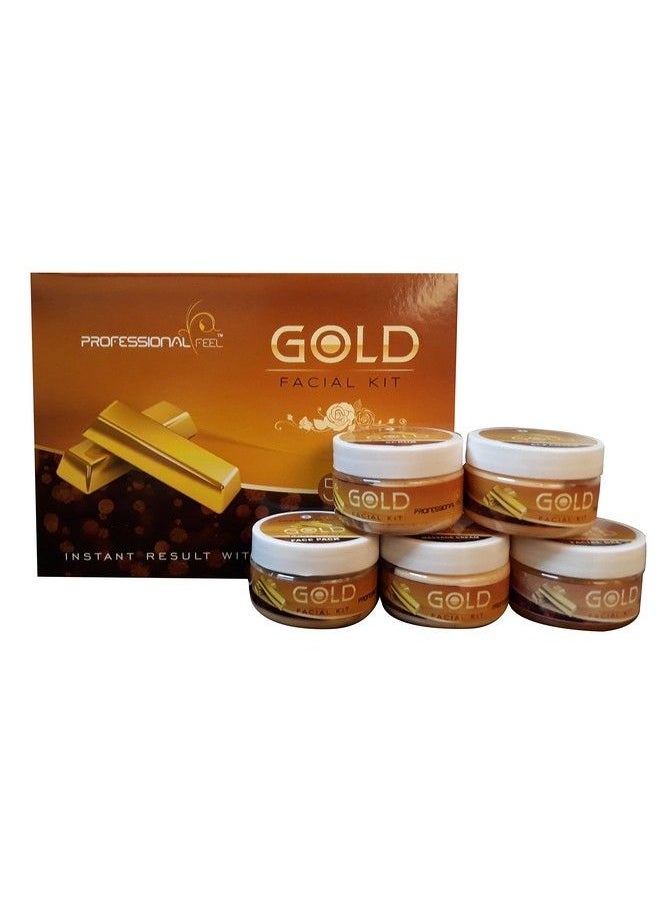 professional feel - Gold + Mix Fruit Facial Kit Combo (250 + 250 Gm) (Set Of 5) - Image 1