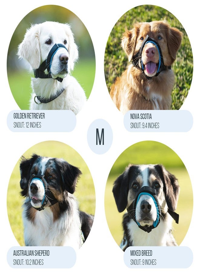 GoodBoy Gentle Muzzle Guard for Dogs - Prevents Biting and Unwanted Chewing Safely – New Secure Comfort Fit - Soft Neoprene Padding – No More Chafing – Training Guide Helps Build Bonds with Pet (M, Blue) - Image 3