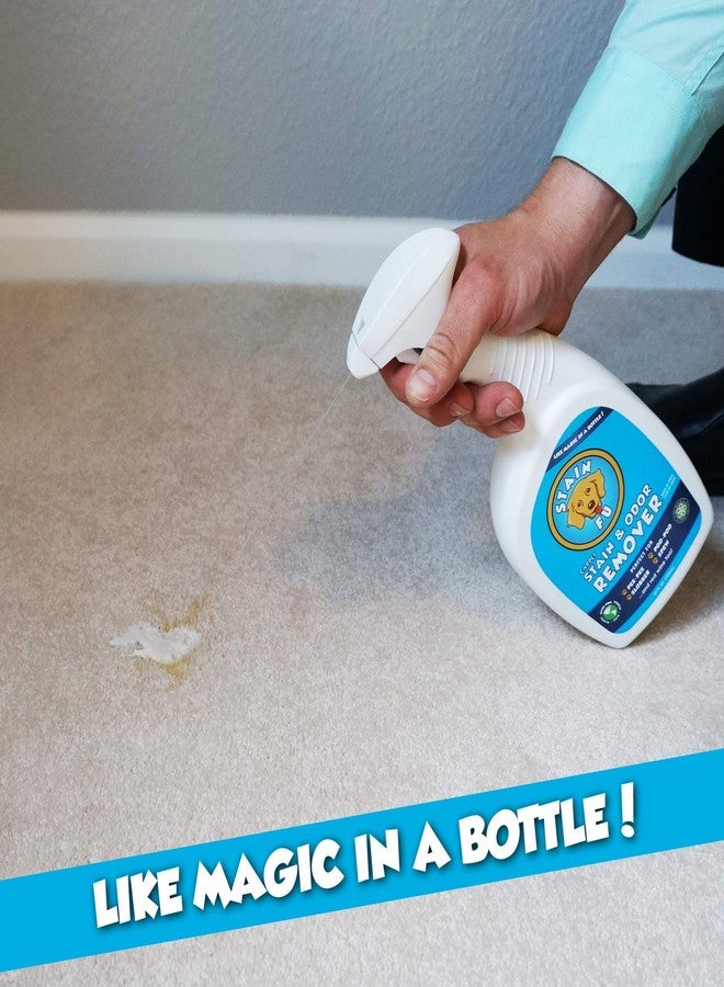 STAIN FU مزيل بقع وروائح السجاد STAIN FU Pro Strength يعمل بفعالية مذهلة على أصعب بقع البول والبراز والقيء وحتى النبيذ الأحمر! 24 أونصة سائلة - Image 5