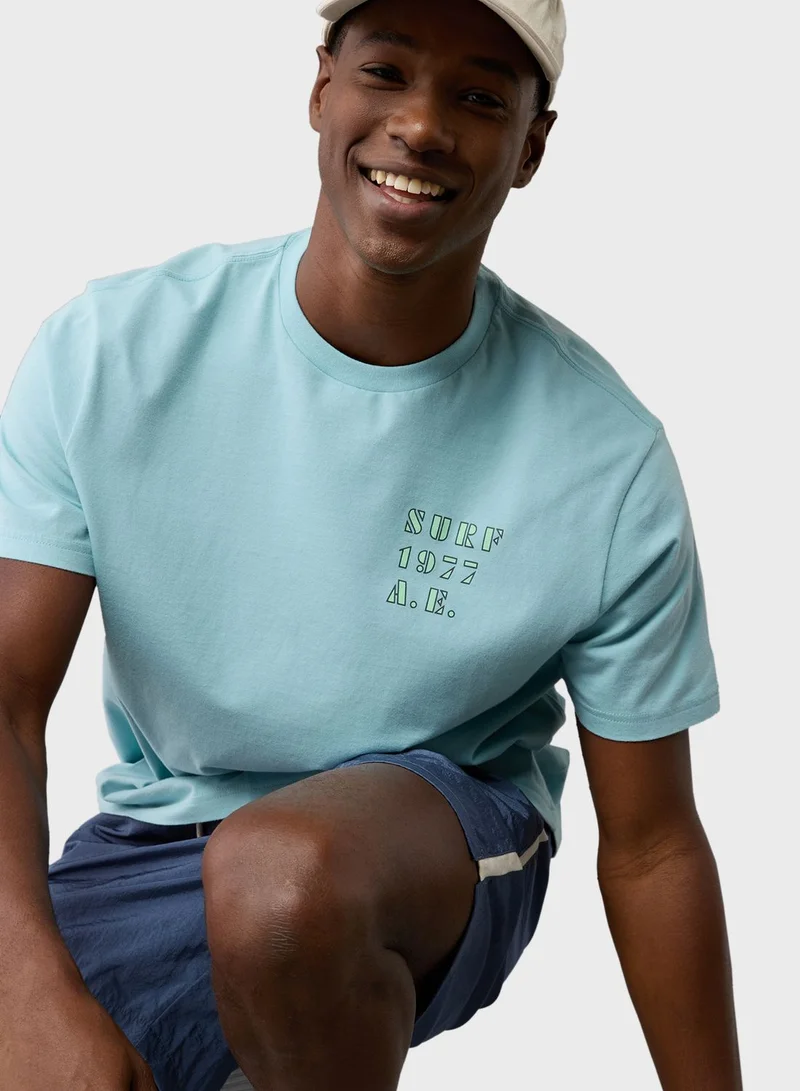 American Eagle Embroidered Graphic Crew Neck T-Shirt