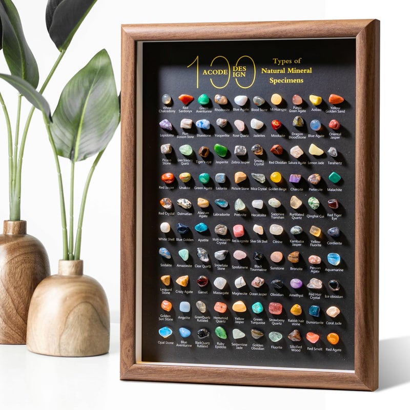 ACODE Natural Mineral Specimen Shadow Box, Geology Collection Display Case, Home Decor Wall Art Tabletop Display with Real Rocks Crystals, Gift for Birthday Christmas Housewarming Children's Day - Image 1
