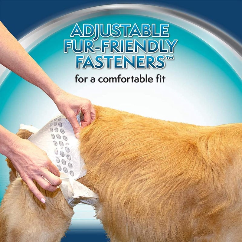 Simple Solution True Fit Disposable Dog Diapers for Female Dogs, Super Absorbent with Wetness Indicator, Leak Proof, Adjustable, Comfortable Fit, Quickly Absorb, Large-XL Size 46-69cm Waist (12 Pack) - Image 3
