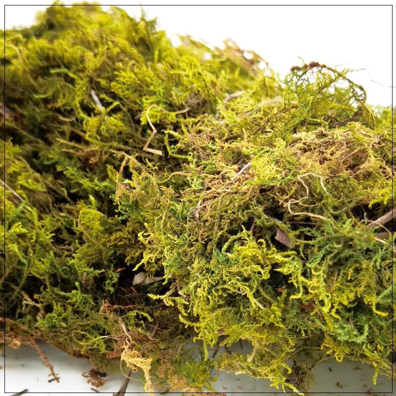 Ahlan 100g Artificial Moss for Potted Plants, Fake Grass, Faux Garden Decor, DIY Green Crafts, Glass Containers,Wall and Party Decorations, Art Moss (primary color) - Image 2