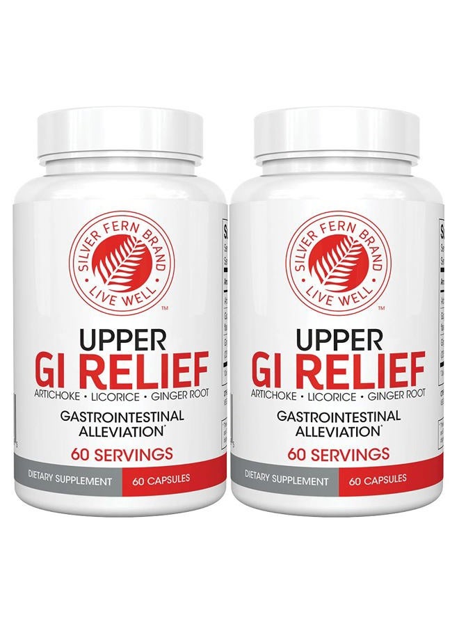 Silver Fern GI Relief - Natural Herbal Supplement - Reduce Gastrointestinal Discomfort, Acid Indigestion, Heartburn & More… (2 Bottle - 120 Capsules - 60 Day Supply) - Image 1