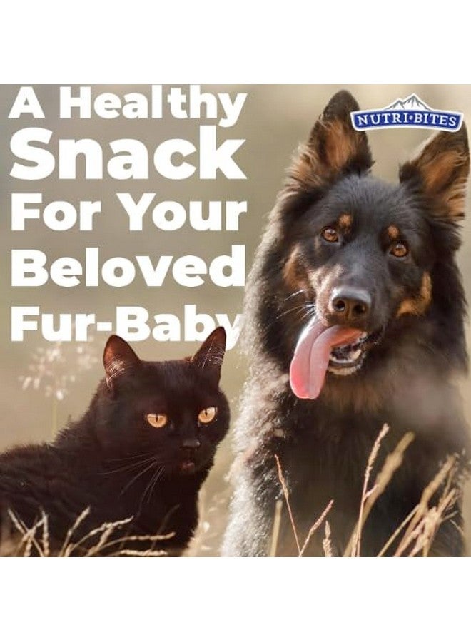 نيوتريبايتس - مكافآت كبد البقر المجفف بالتجميد للقطط والكلاب - 17.6 أونصة - Image 3