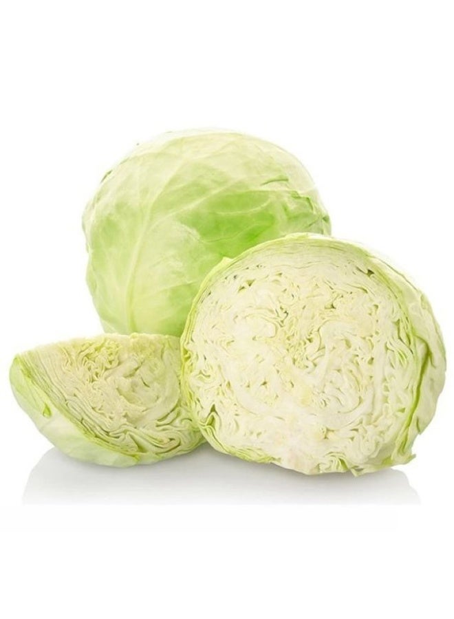 Cabbage, Approx. 2 Kg to 2.5 Kg Per Piece, Oman