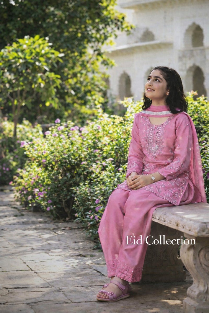 Rosé Charm Eid Set - Blush Embroidered Suit