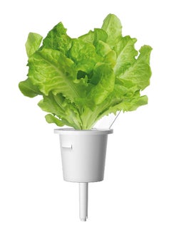 CLICK AND GROW 3Piece Edible Green Lettuce Plant Pod Set SGR32X3  - Image 2