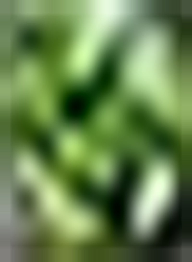 GGOOT 10 grüne Salatsamen das köstliche Gemüse das Leicht zu überleben ist geeignet für unerfahrene Gärtner die in Gärten im Freien pflanzen - Image 1