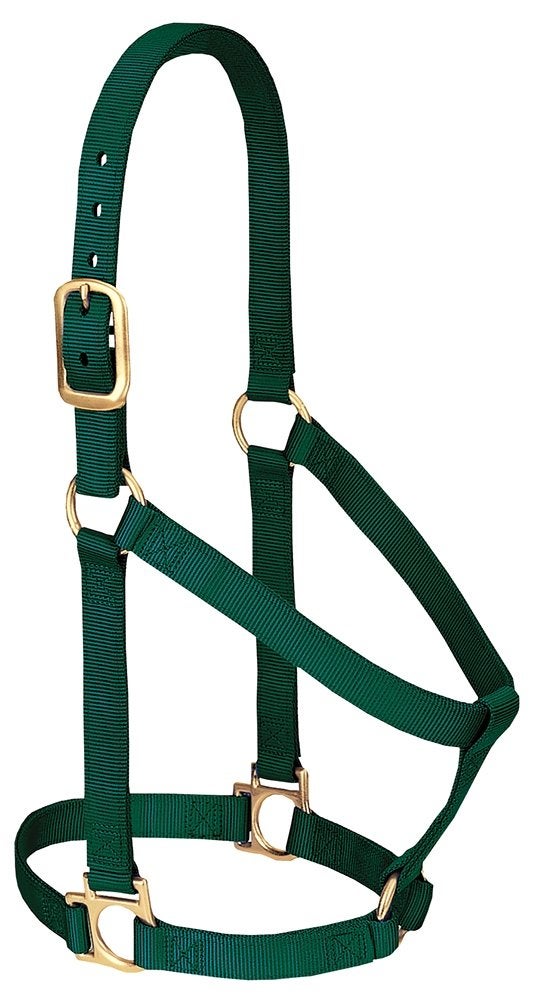 Weaver Equine Nylon Horse Halter, Comfort Double-Ply Webbing, Basic Non Adjustable Halters for Horses, Equine Tack,Average Size, Hunter Green - Image 1