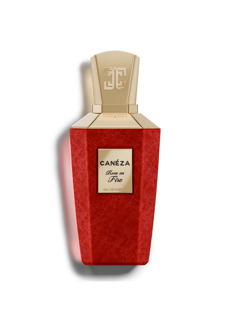 Canéza Rose on Fire Eau de Parfum for Women - Seductive Floral Leather Scent with Blackcurrant, Velvet Rose & Vanilla Musk | Elegant Long-Lasting Fragrance | 100ML - Image 1