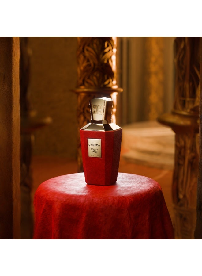 Canéza Rose on Fire Eau de Parfum for Women - Seductive Floral Leather Scent with Blackcurrant, Velvet Rose & Vanilla Musk | Elegant Long-Lasting Fragrance | 100ML - Image 3